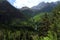 Alpine rill and mountaine forest in the National Park of Ordesa.