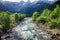 Alpine rill and mountaine forest in the National Park of Ordesa.