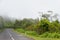 Alpine road in Madeira island