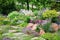 Alpine Rock Garden