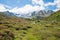 Alpine rose blossoms at durrboden, dischma valley near davos. pictorial landscape switzerland in june