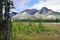 Alpine scenery along the Icefields Parkway between Jasper and Banff in Canadian Rockies