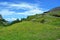 The alpine scenic landscapes of mountains, meadows and flowers at Dondena, Aosta Valley, Italy in natural reserve of Mount Avic