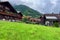 Alpine Serenity Brienz Village - Where Lush Meadows Meet Majestic Mountains