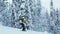 Alpine skier at arctic slope