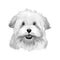 Alpine Spaniel dog digital art illustration in black and white colors. Spaniel large dog notable for its thick curly coat, curlier