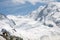 Alpine steinbock above Gornergrat Glacier