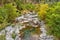 Alpine stream in France.