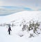 Alpine touring skier in winter mountains.