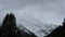 Alpine tree forest on the mountain with Alps in Samnaun, Switzerland