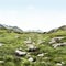 Alpine Tundra: Grassy Rocky Mountain Scene With Photorealistic Renderings