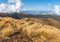 Alpine tussock growing on mountain range in Paparou National Park