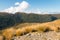 Alpine tussock growing on slopes of Paparoa ranges, South Island, New Zealand