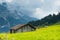 Alpine valley Grindelwald. Jungfrau, Switzerland. Under the Bernese alps