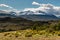 Alpine vegetation in Southern Patagonia