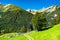Alpine view in Wengen, Switzerland