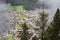 Alpine village in the mist clouds