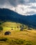 Alpine village in the mountains. Autumn in the carpathians