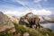 Alpine Wild Ibex Pausing in front of a Rock on a Sunny Summer Day