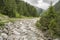 Alpine wild river with rocks and pine trees and mountains in Imst.