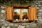 Alpine window with shutters and red flowers