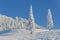 Alpine winter landscape