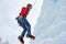 Alpinist woman with ice tools axe in orange helmet climbing a large wall of ice. Outdoor Sports Portrait