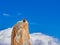 Alpinists climbing on rocks at Aiguille du Midi, Chamonix, France