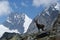 Alps - Alpine fauna - Rupicapra rupicapra rupicapra - Portrait of male Kozica Rupicaria against the background of alpine peaks