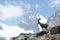 Alps - Alpine fauna - Rupicapra rupicapra rupicapra - Portrait of male Kozica Rupicaria against the background of alpine peaks