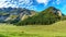 Alps. Meadow, forest and mountains. Cows in the meadow.