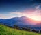 Alps mountain meadow tranquil summer view