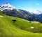 Alps mountains panorama