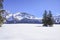 Alps in winter with fresh snow and trees