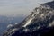 Alps winter ridge with pine trees