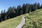 Alpsee mountain in Bavaria