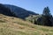 Alpsee mountain in Bavaria