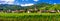 Alsace region of France - view with traditional village and vineyards.