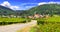 Alsace region of France - vineyards ,houses and mountains.