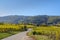 Alsace`s vineyards on an autumn day, Grand Est, France