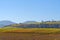 Alsace`s vineyards on an autumn day, Grand Est, France