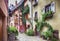 Alsace village Eguisheim