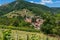 The Alsatian village of Ribeauville surrounded by vineyards and rolling hills on a beautiful summer day