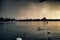 Alster Lake in Hamburg Germany duck swan famous city park people rowing sailing panorama sky night cloud sundown rain