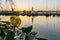 Alster Sailing Boat Hamburg Sunset