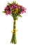 Alstroemeria flowers bouquet isolated