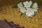 Alstroemeria flowers, peruvian lily