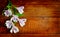 Alstromeria flowers on the wooden board background.