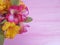 Alstromeria freshness natural flower decoration on a pink wooden background