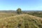 Altai foothills. The expanses of the Chineti reserve. Western Siberia.